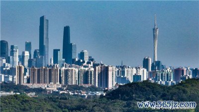 引领时尚潮流,展现个性魅力 引领时尚潮流,展现个性魅力